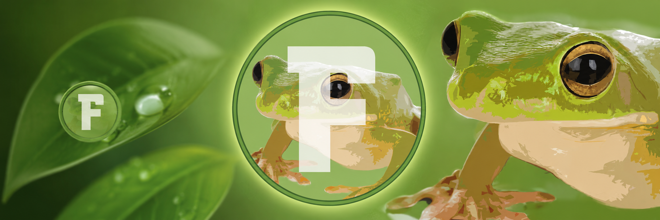 Frogecoin banner featuring tree frogs and the glowing $FROGE coin