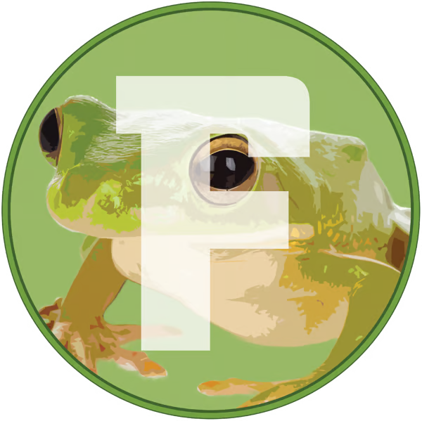 Frogecoin mascot: a green tree frog inside a coin with a bold F